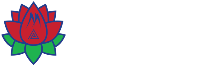 NIMB ACE Capital Logo